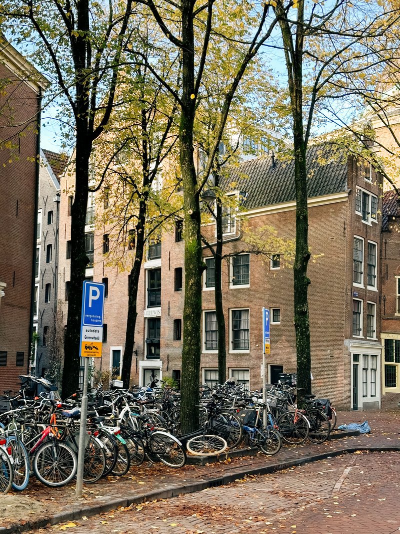 Image: Nyxbets: de beste bonus en casino-ervaring in Nederland Image: Nyxbets: de beste bonus en casino-ervaring in Nederland